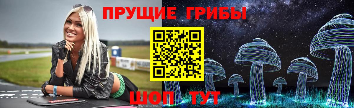Псилоцибиновые грибы Psilocybe Алексеевка